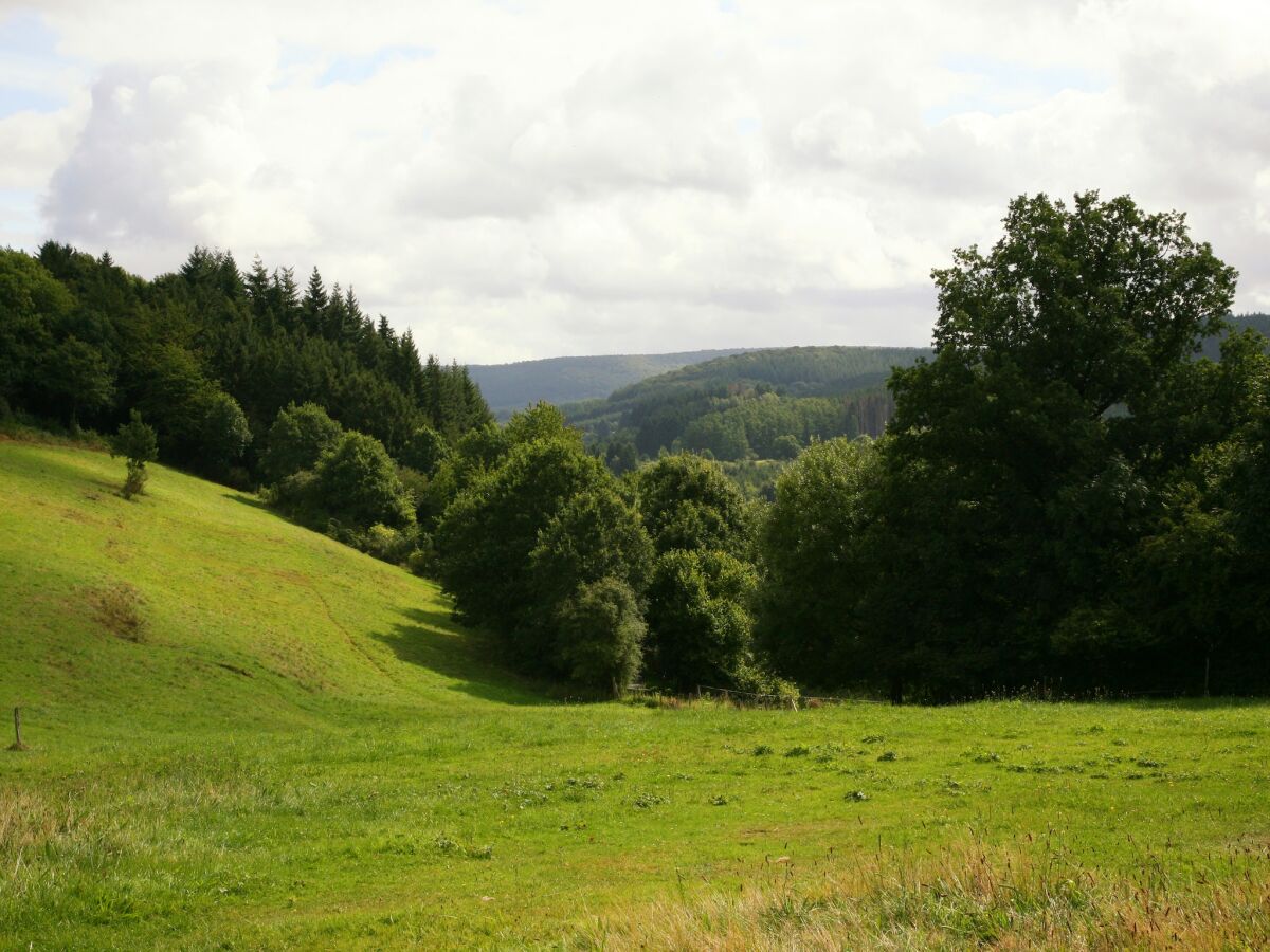 Ferienhaus Nassogne Außenaufnahme 4