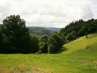 Ferienhaus Nassogne Außenaufnahme 10