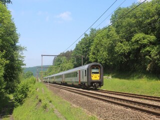 Maison de vacances Nassogne Environnement 22
