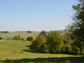 Maison de vacances Nassogne Environnement 28