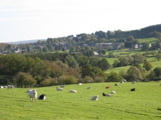 Ferienhaus Nassogne Umgebung 33