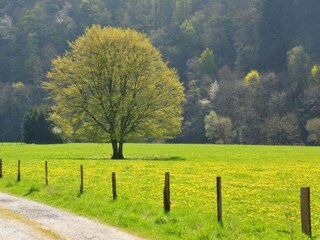 Casa per le vacanze Nassogne Ambiente 25