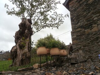 Casa de vacaciones La Roche-en-Ardenne Grabación al aire libre 4