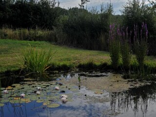 Vakantiehuis Kemmel Omgeving 34