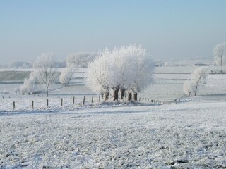 Vakantiehuis Vloesberg Omgeving 34