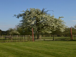 Vakantiehuis Vloesberg Omgeving 32