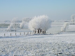 Vakantiehuis Vloesberg Omgeving 34