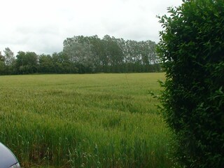 Holiday house Poperinge Outdoor Recording 4