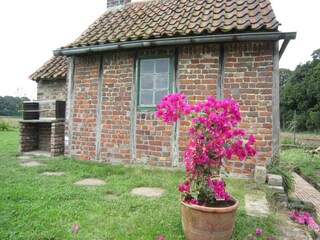 Holiday house Poperinge Outdoor Recording 13