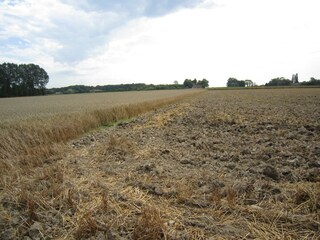 Casa per le vacanze Poperinge Registrazione all'aperto 5