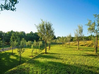 Holiday house Poperinge Environment 34