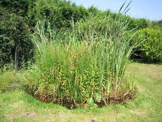 Maison de vacances Horebeke Enregistrement extérieur 6