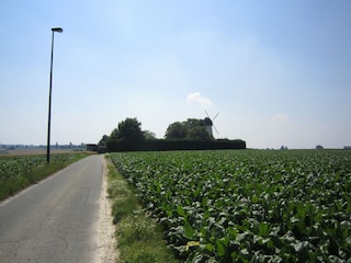 Ferienhaus Horebeke Außenaufnahme 9