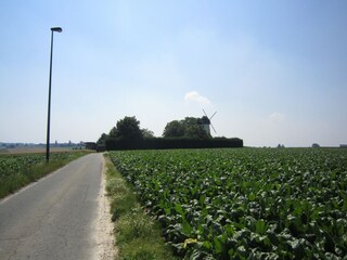 Vakantiehuis Horebeke Buitenaudio-opname 5