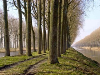 Vakantiehuis Horebeke Omgeving 27