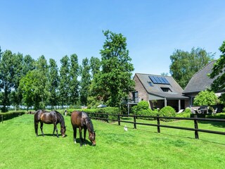 Apartment Maldegem Outdoor Recording 4