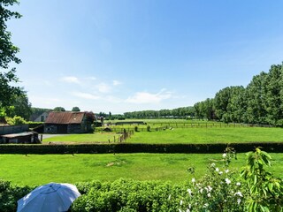 Appartement Maldegem Buitenaudio-opname 10