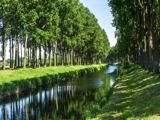 Apartment Maldegem Environment 23