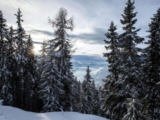 Chalet La Tzoumaz Umgebung 37