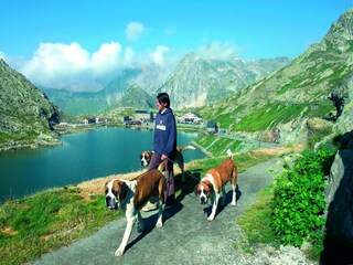 Chalet Les Masses Environnement 25