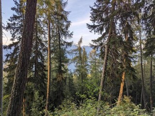 Chalet Les Masses Umgebung 33