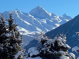 Chalet Les Masses Ambiente 37