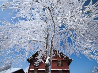 Holiday house Frutigen Environment 27