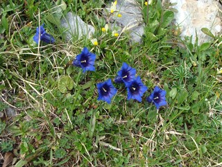 Vakantiehuis Frutigen Omgeving 21