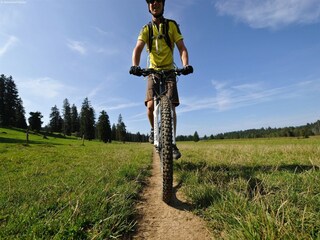 Ferienhaus Frutigen Umgebung 36