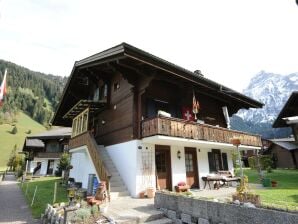 Bel appartement à Lenk dans le Simmental à proximité du domaine skiable - Pilotage - image1