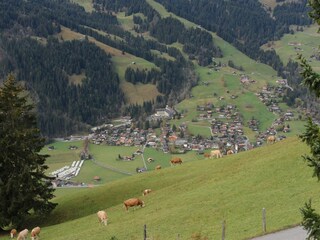Apartment Lenk Environment 26