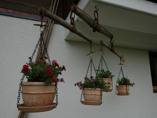 Appartement Lenk  40