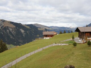 Apartment Lenk Environment 31