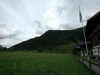 Appartement Lenk Environnement 28