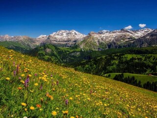 Apartamento Lenk Entorno 36