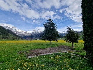 Appartamento Lenk Ambiente 33