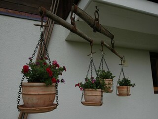Appartement Lenk  40
