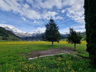 Apartamento Lenk Entorno 33