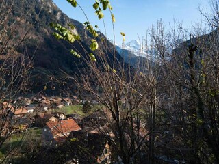 Ferienhaus Wilderswil Umgebung 30