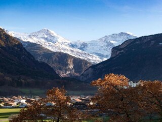 Vakantiehuis Wilderswil Omgeving 17