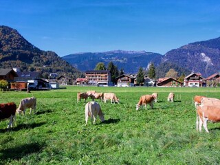 Maison de vacances Wilderswil Environnement 20