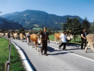 Holiday house Wilderswil Environment 29