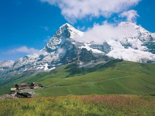 Vakantiehuis Wilderswil Omgeving 23