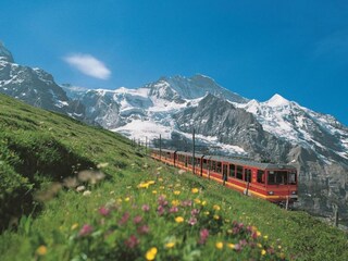 Vakantiehuis Wilderswil Omgeving 25