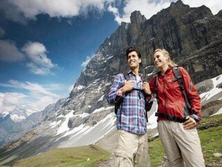 Vakantiehuis Wilderswil Omgeving 31