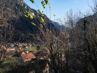 Vakantiehuis Wilderswil Omgeving 20