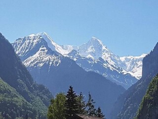 Vakantiehuis Wilderswil Omgeving 35
