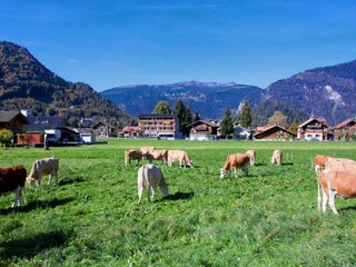 Casa de vacaciones Wilderswil Entorno 26