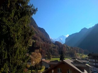 Vakantiehuis Wilderswil Omgeving 27