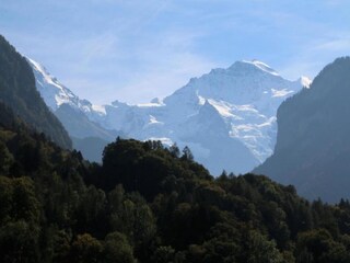 Vakantiehuis Wilderswil Omgeving 36